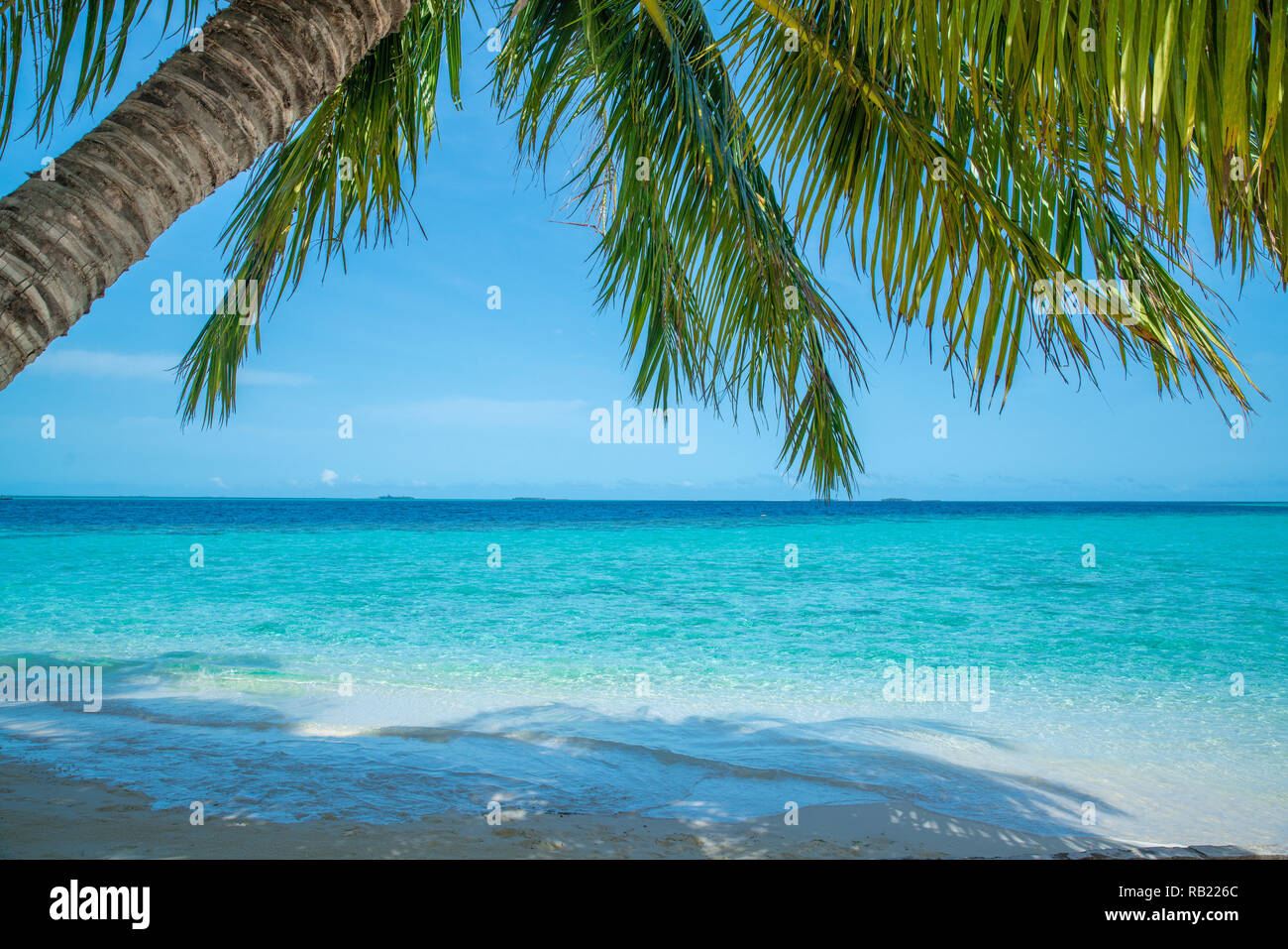 Wave of tropical sea beach on white sand with coconut leaf edge frame. Stock Photo