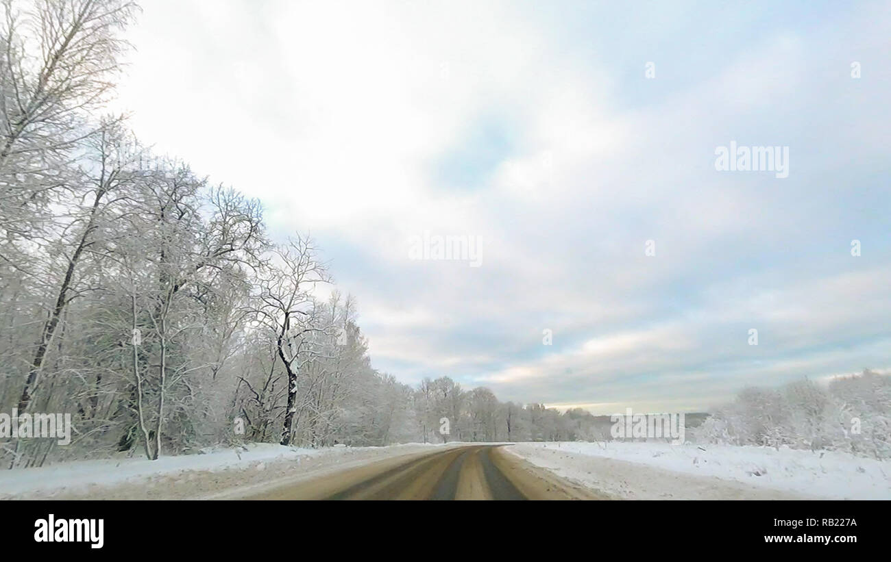 Country road in winter along the forest with white snow trees Stock ...