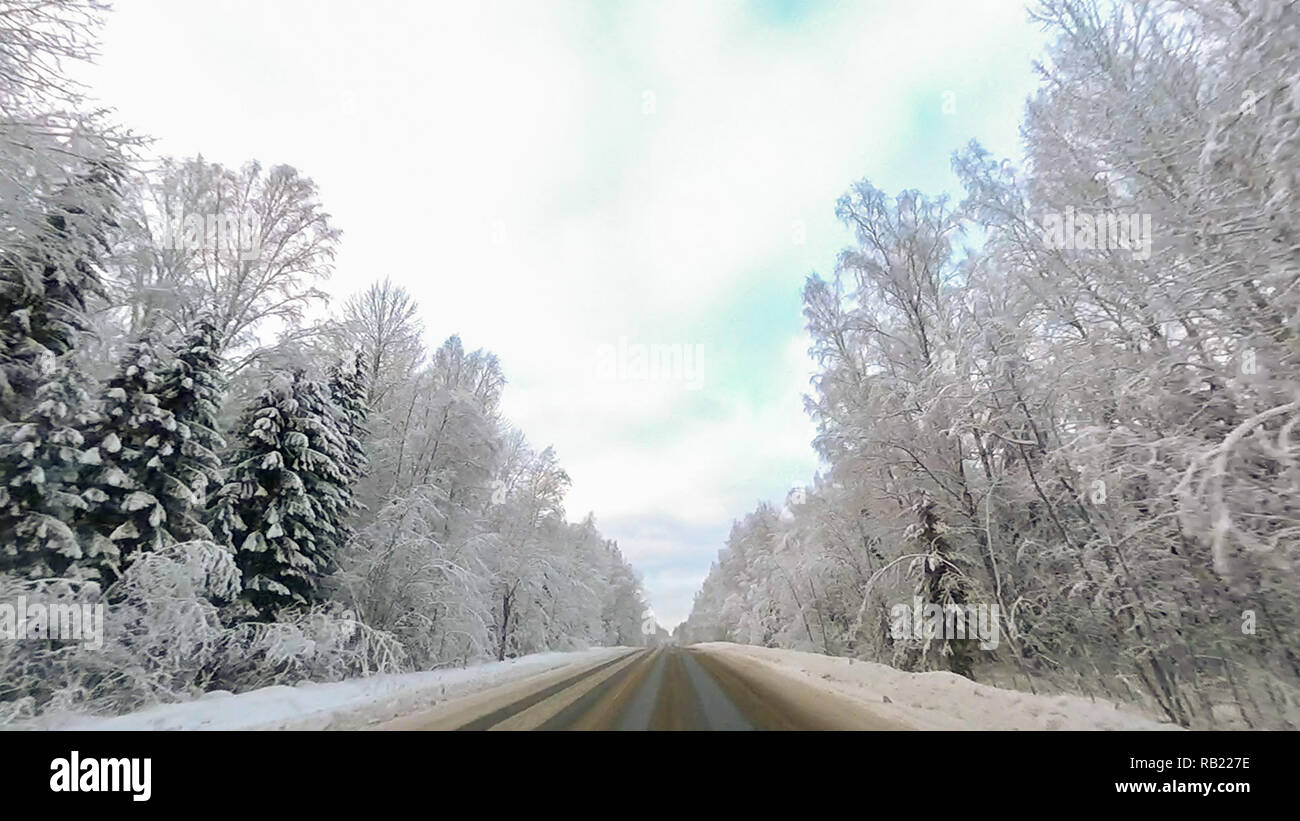 Country road in winter along the forest with white snow trees Stock ...