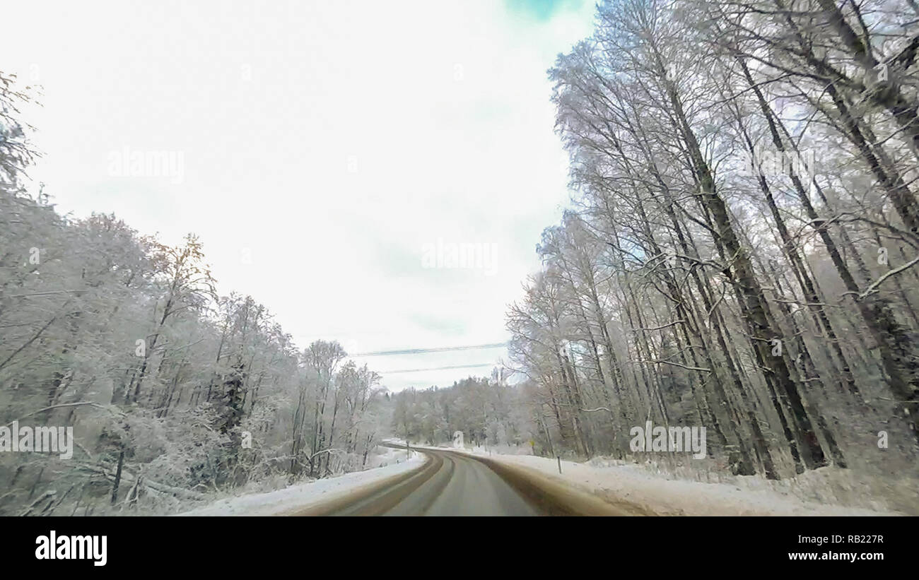 Country road in winter along the forest with white snow trees Stock ...