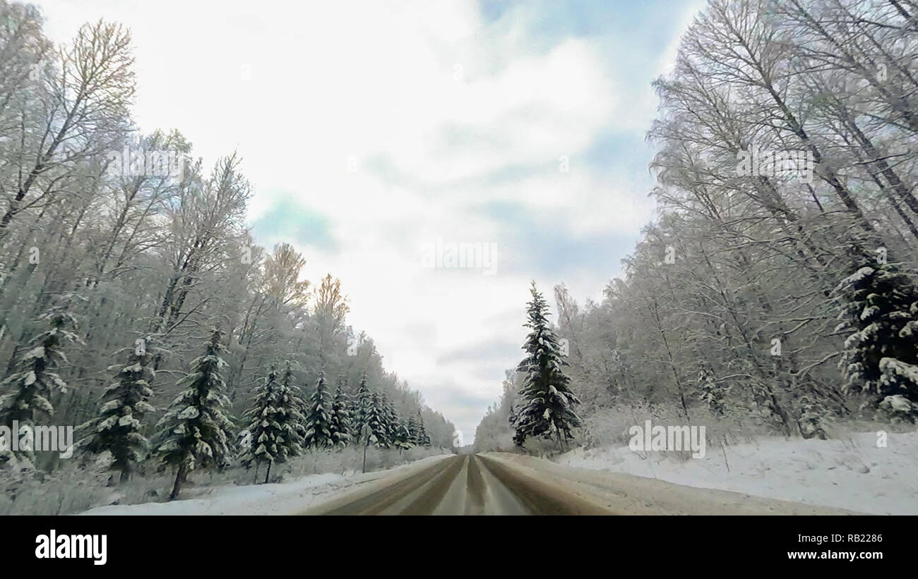 Country road in winter along the forest with white snow trees Stock ...