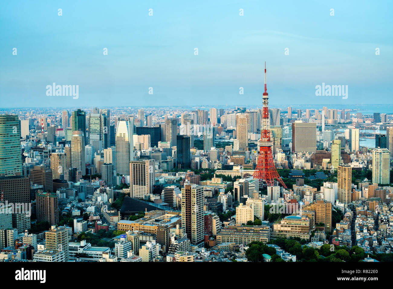 Tokyo tower wide angle view, Japan. Stock Photo
