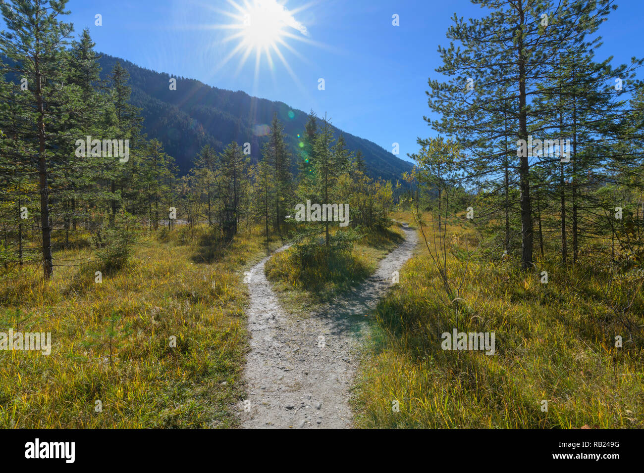 Forked hiking trail with sun, Vorderriss, Wallgau, Isarwinkel, Upper Bavaria, Bavaria, Germany, European Alps Stock Photo