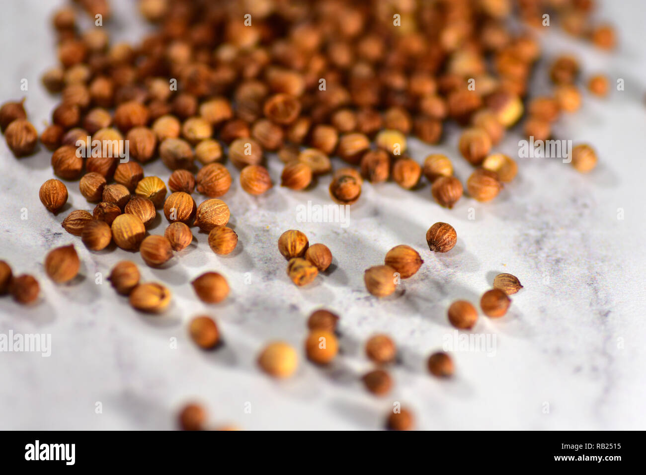 Coriander Seeds in a Schwartz Jar Stock Photo