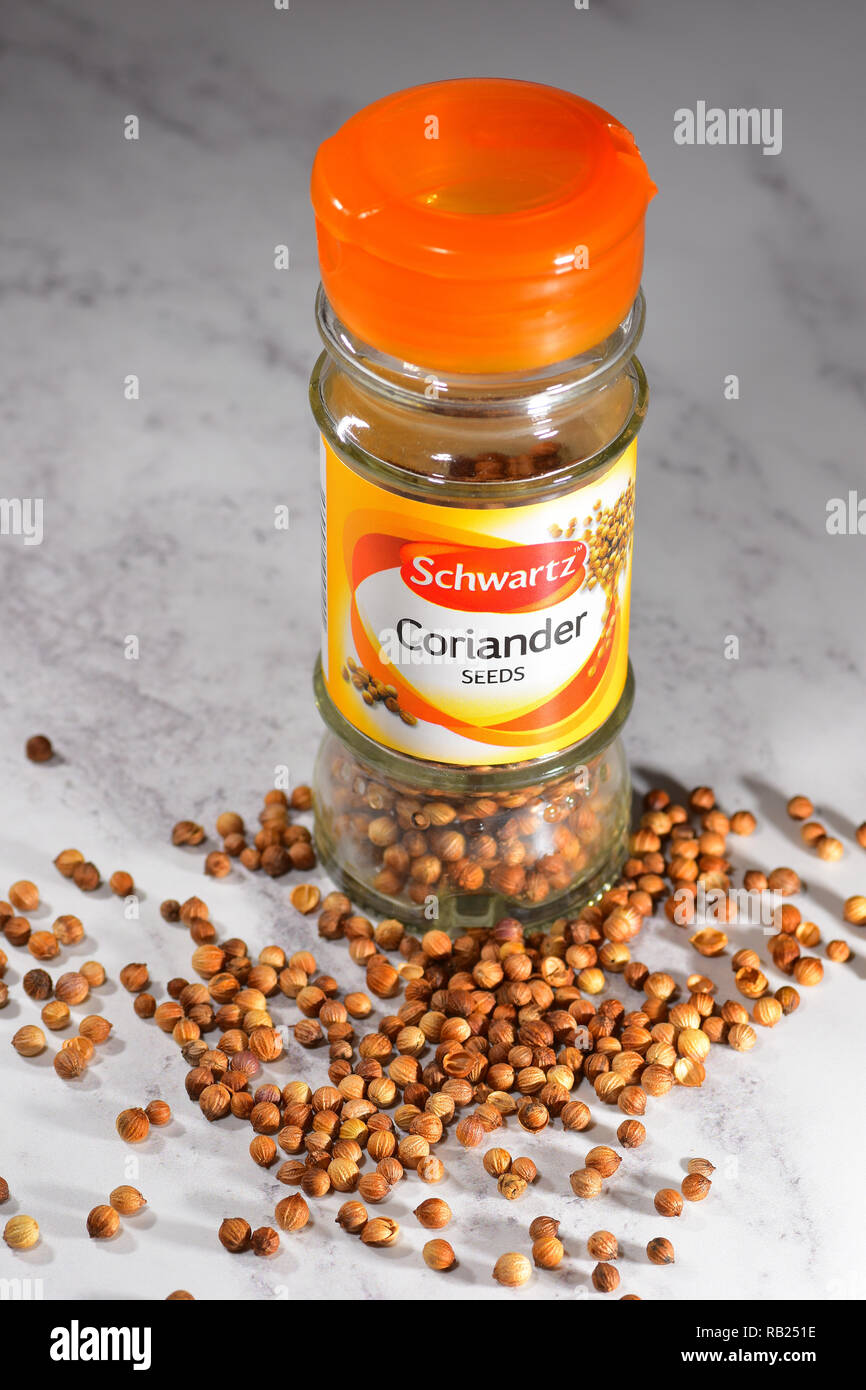 Coriander Seeds in a Schwartz Jar Stock Photo