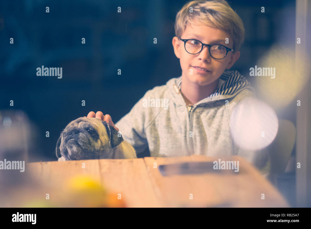 couple of friends young boy children and old nice pug sitting on the table together with happiness and joy - pet therapy and funny dog concept at home Stock Photo