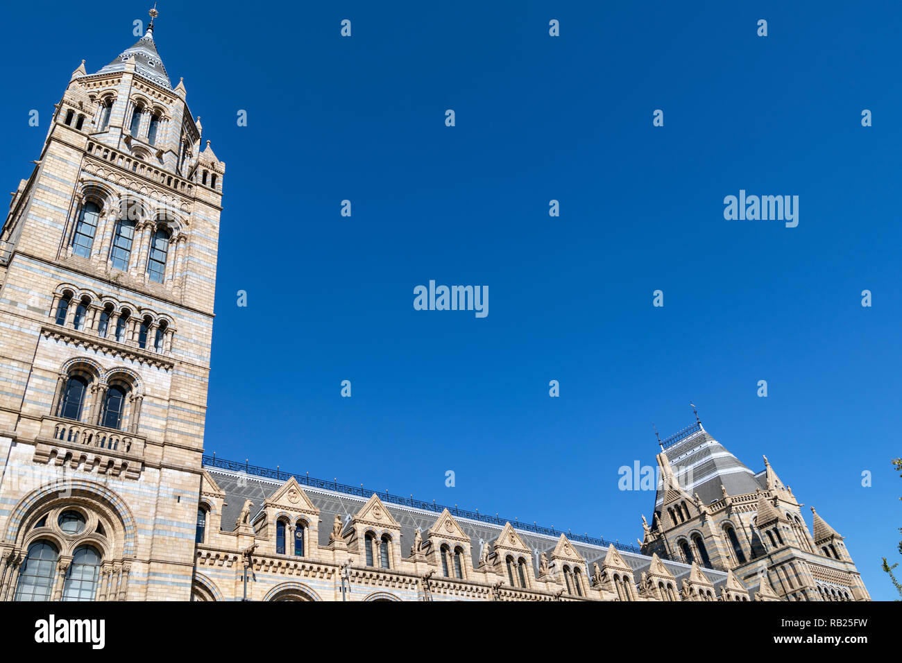 National History Museum in London Stock Photo