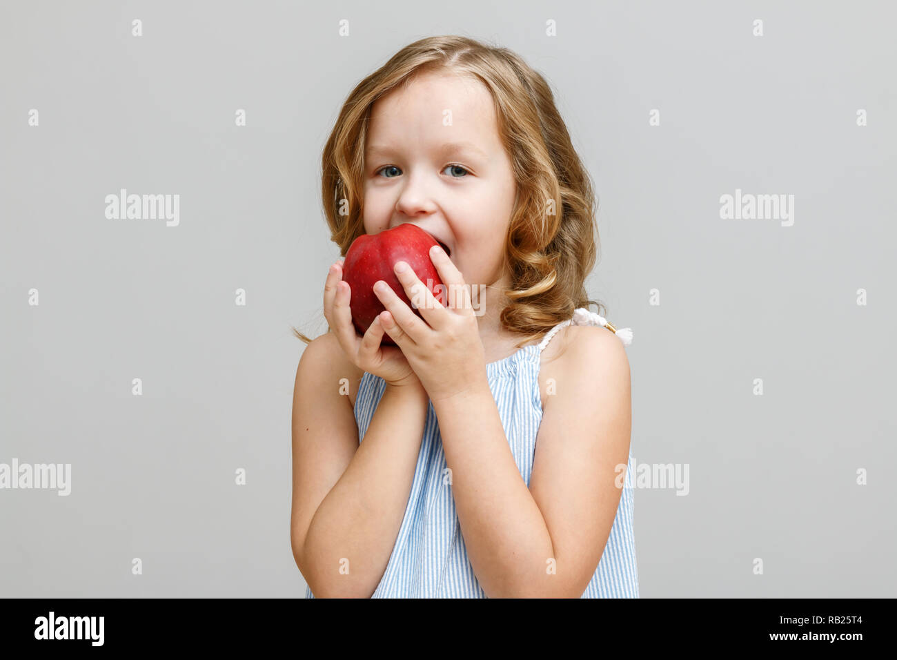 Portrait of a happy smiling little blonde girl on a gray background. Baby bites red apple Stock Photo