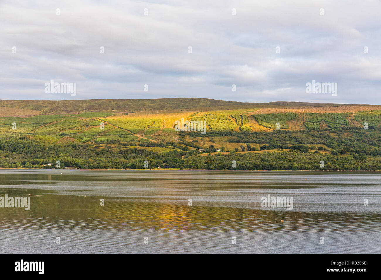 Loch Fyne lies still on a summer day in the highlands of Scotland, UK. Stock Photo