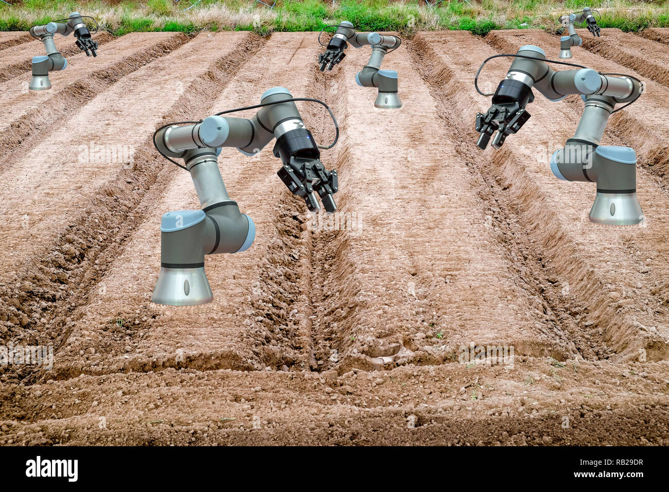 Land for agricultural preparation of farmer have installed a robot for assist farmer on working, smart farming 4.0 concept Stock Photo