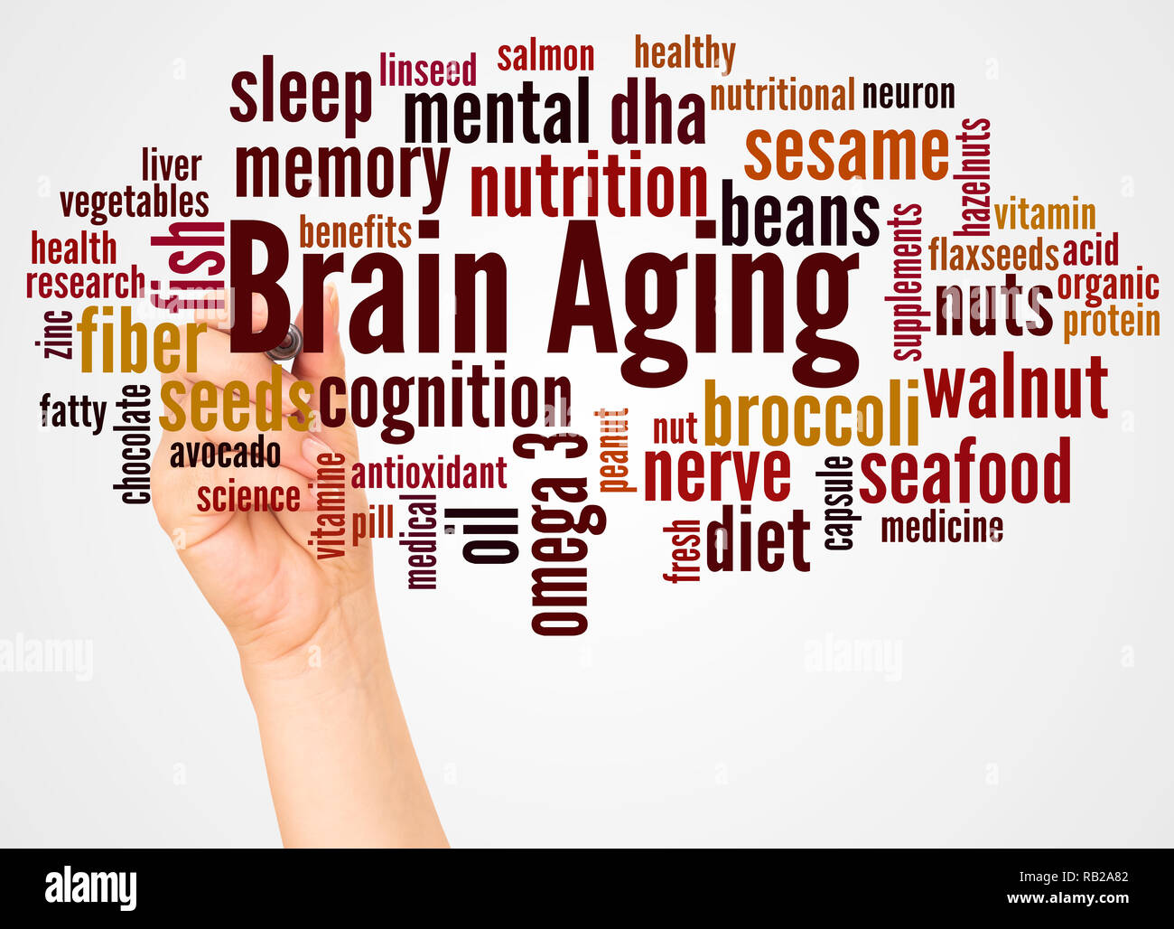 Brain Aging word cloud and hand with marker concept on white background. Stock Photo