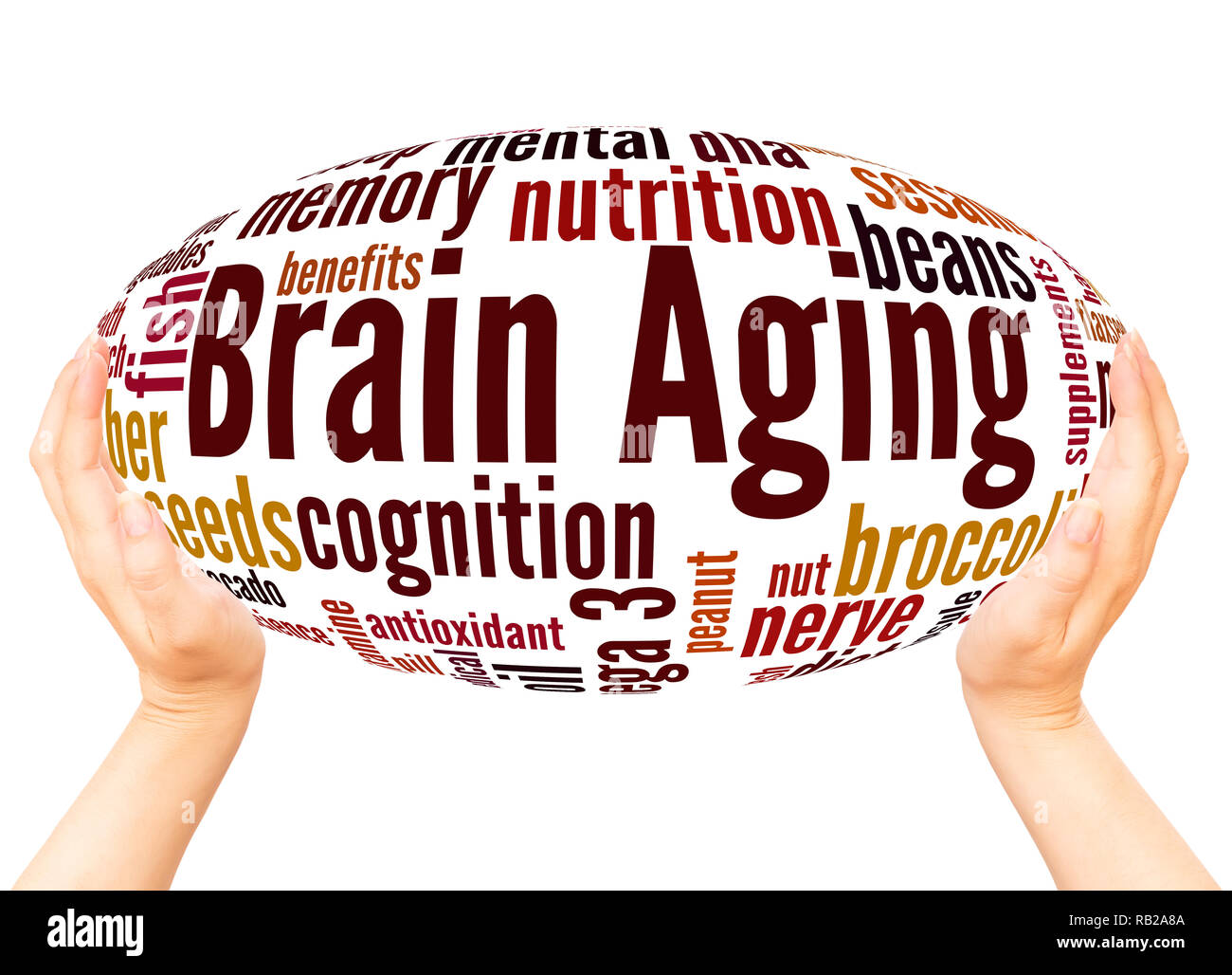 Brain Aging word cloud hand sphere concept on white background. Stock Photo