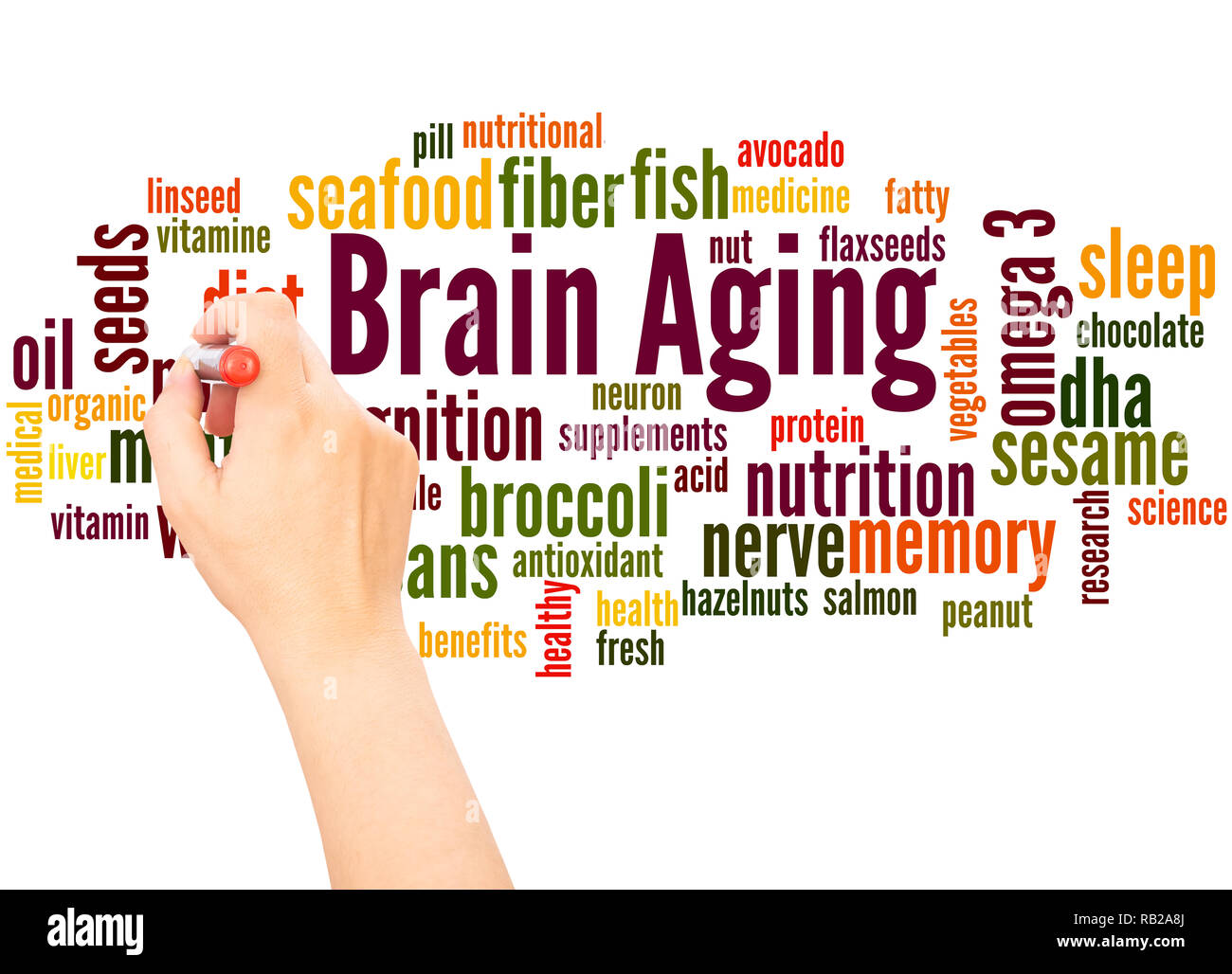 Brain Aging word cloud hand writing concept on white background. Stock Photo