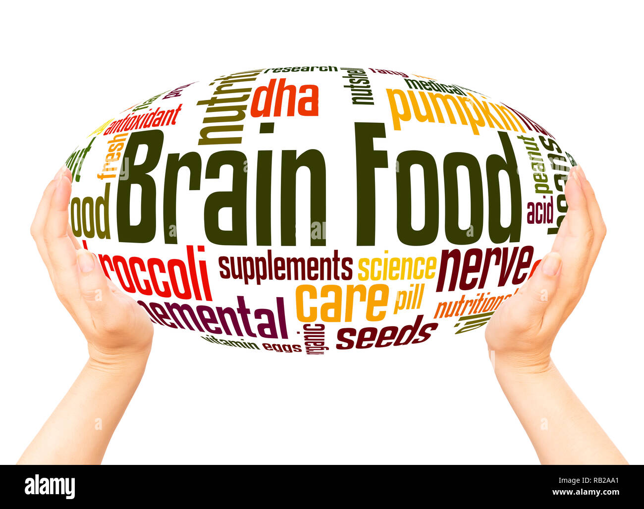 Brain Food word cloud hand sphere concept on white background. Stock Photo