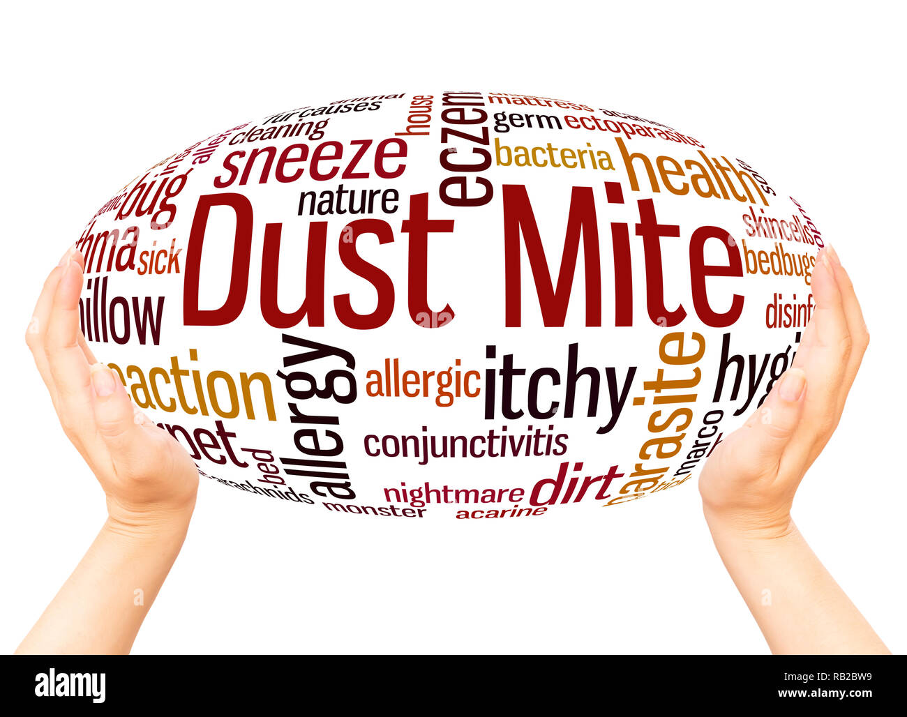 Dust mite word cloud hand sphere concept on white background. Stock Photo