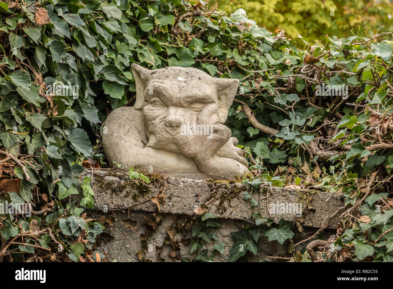 Little goblin head on a stone wall like out of a fairytale Stock Photo