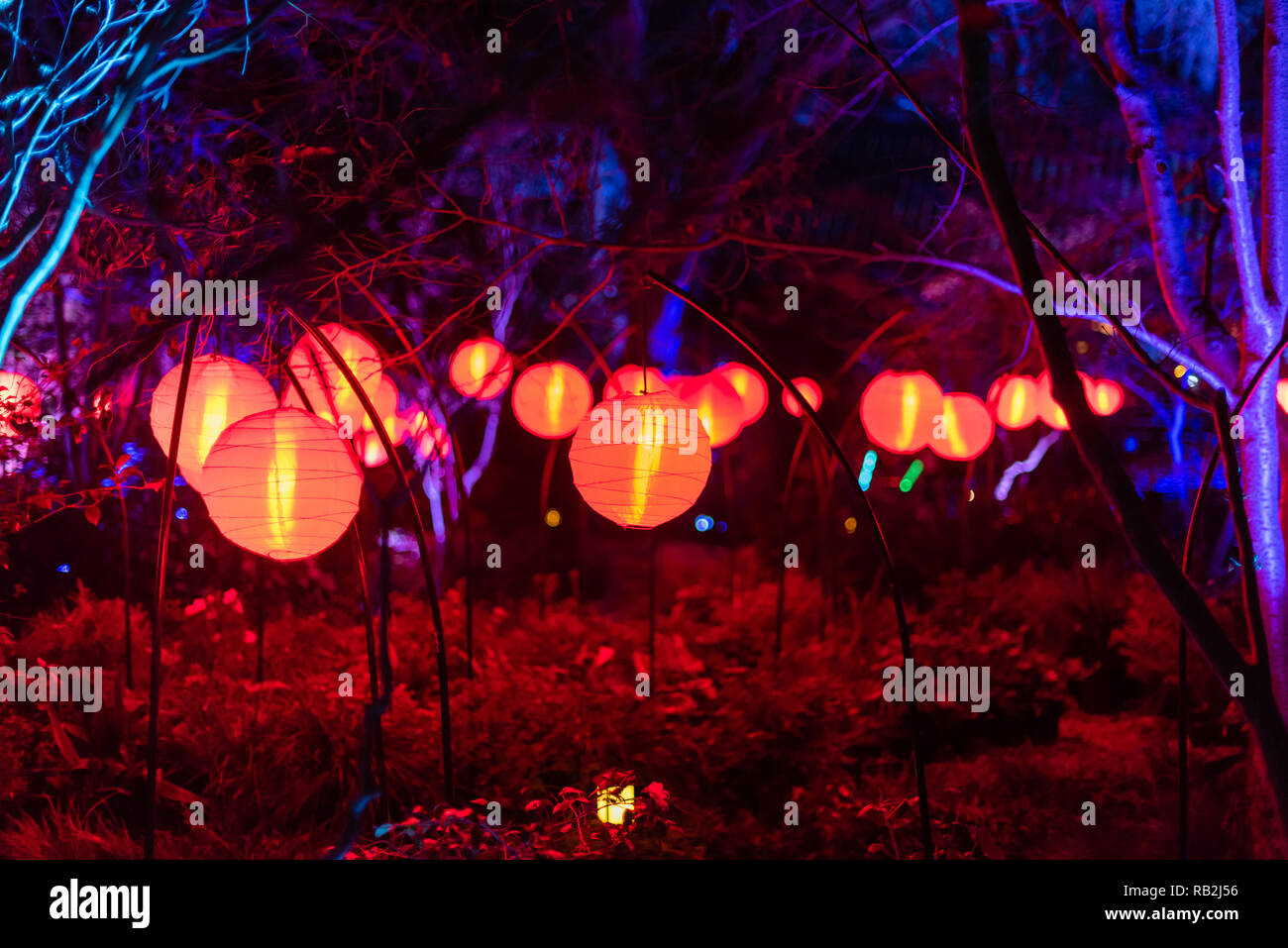 Magical forest lights lanterns hi-res stock photography and images - Alamy
