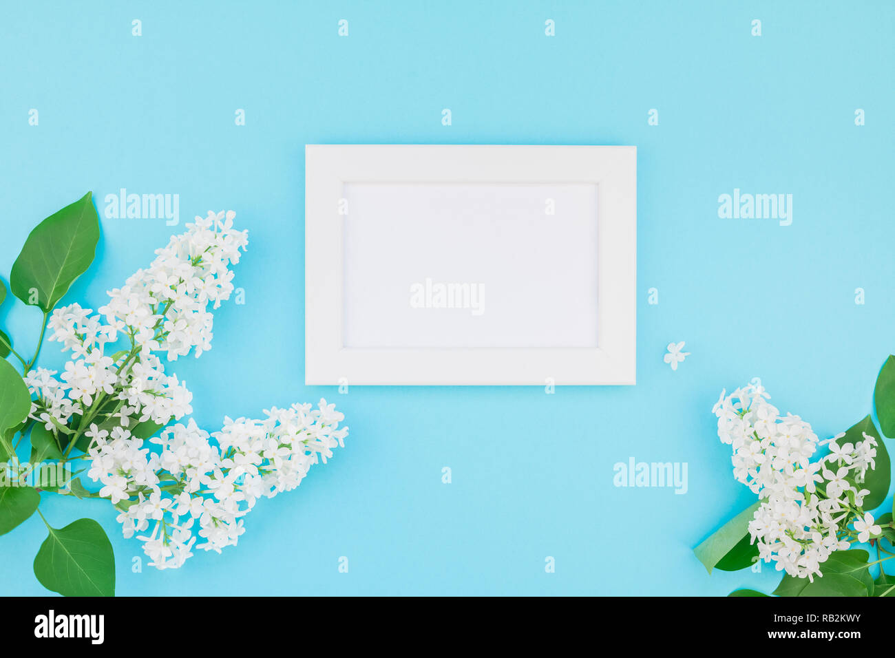 Creative flat lay concept top view of blank postcard frame mock up and ...