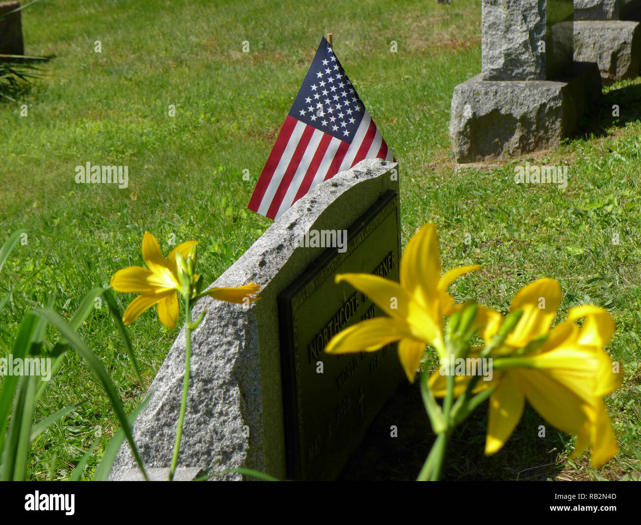 American flags in cemetery Stock Photo