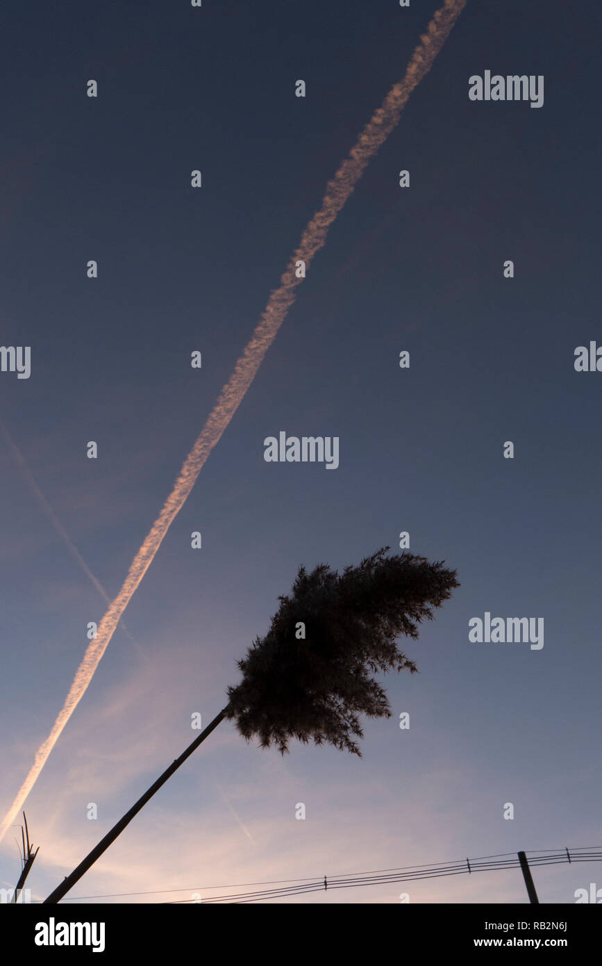 American flag in old graveyard hi-res stock photography and images - Alamy