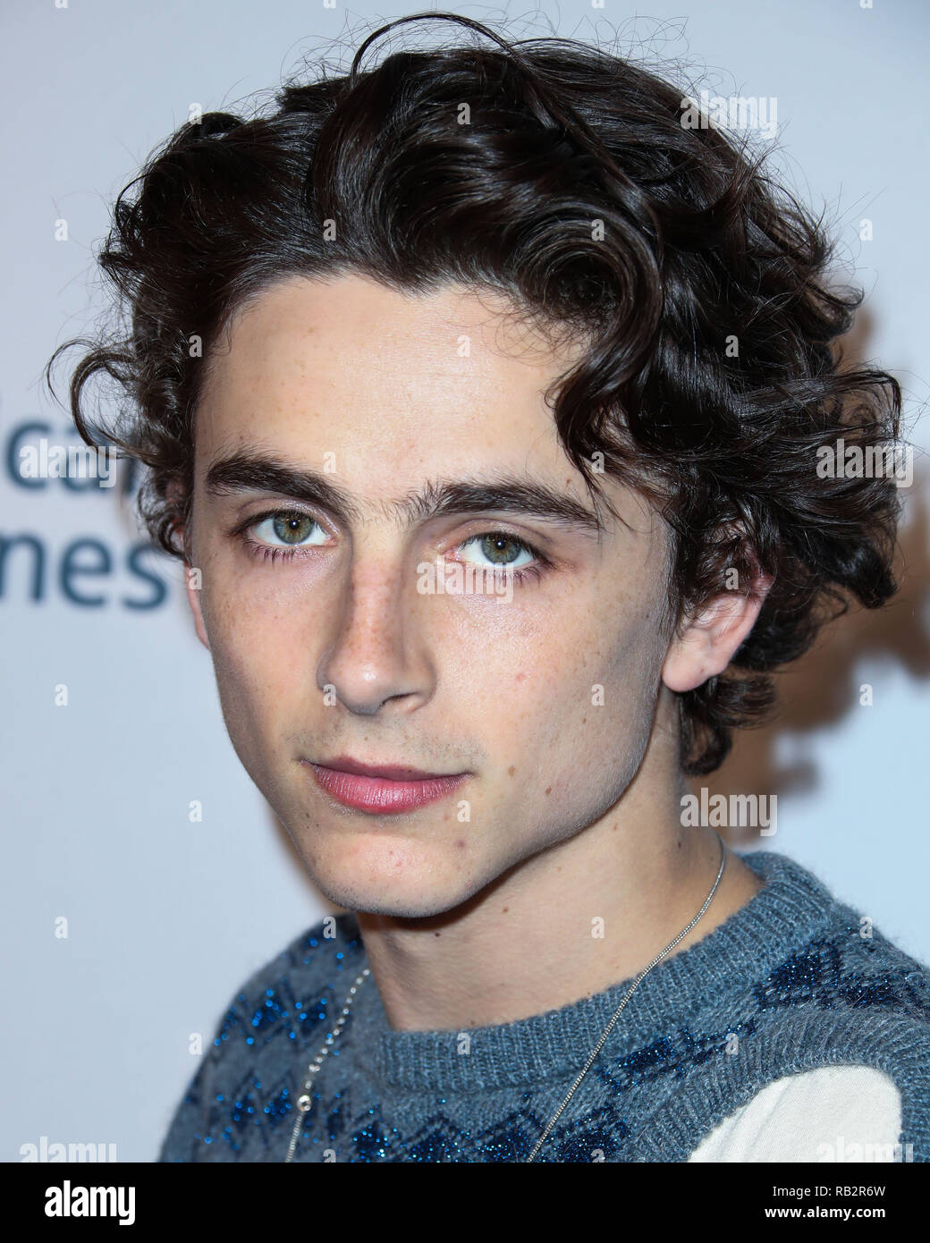 California, USA. 5th Jan 2019. Actor Timothee Chalamet arrives at the ...