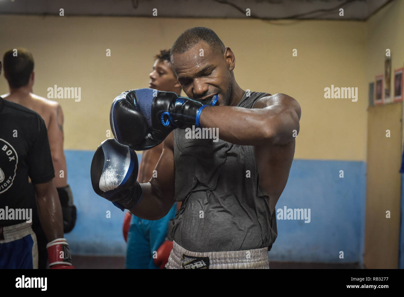 Which Countries Have the Most World Champions in Boxing History