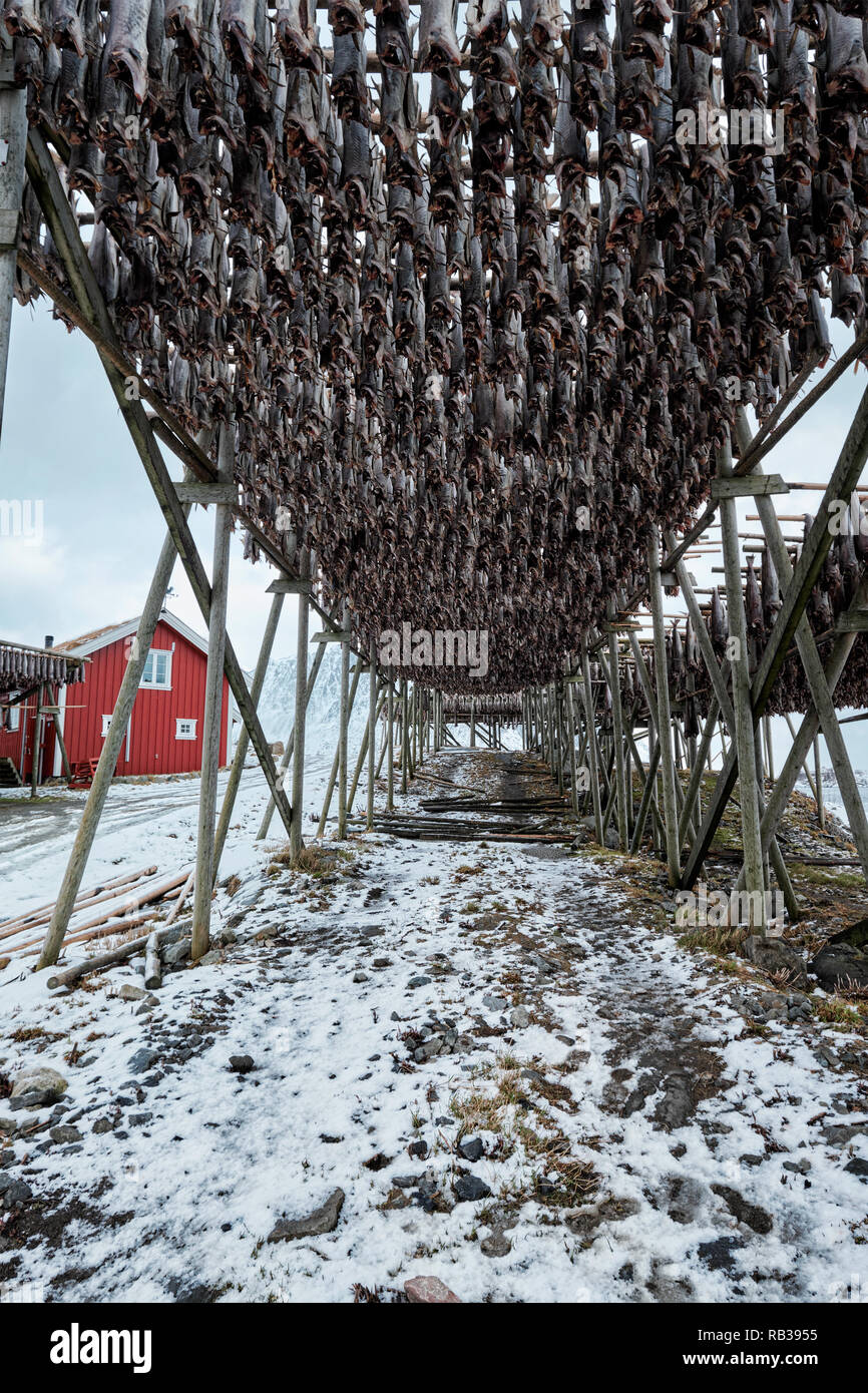 Salt cod drying hi-res stock photography and images - Alamy
