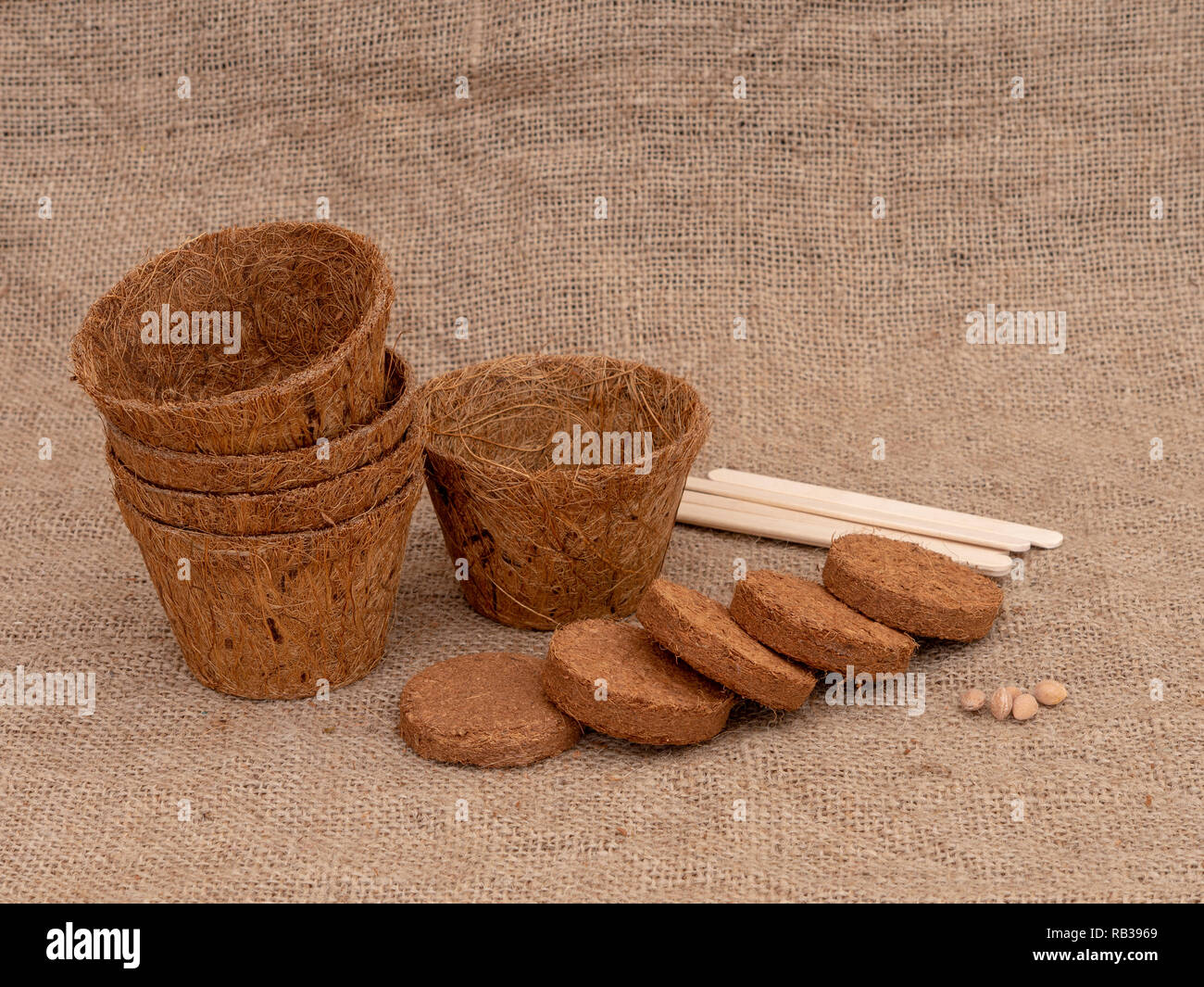 Coir plant pots and compressed compost on hessian. With wooden plant labels. Environmentally friendly spring gardening. Stock Photo