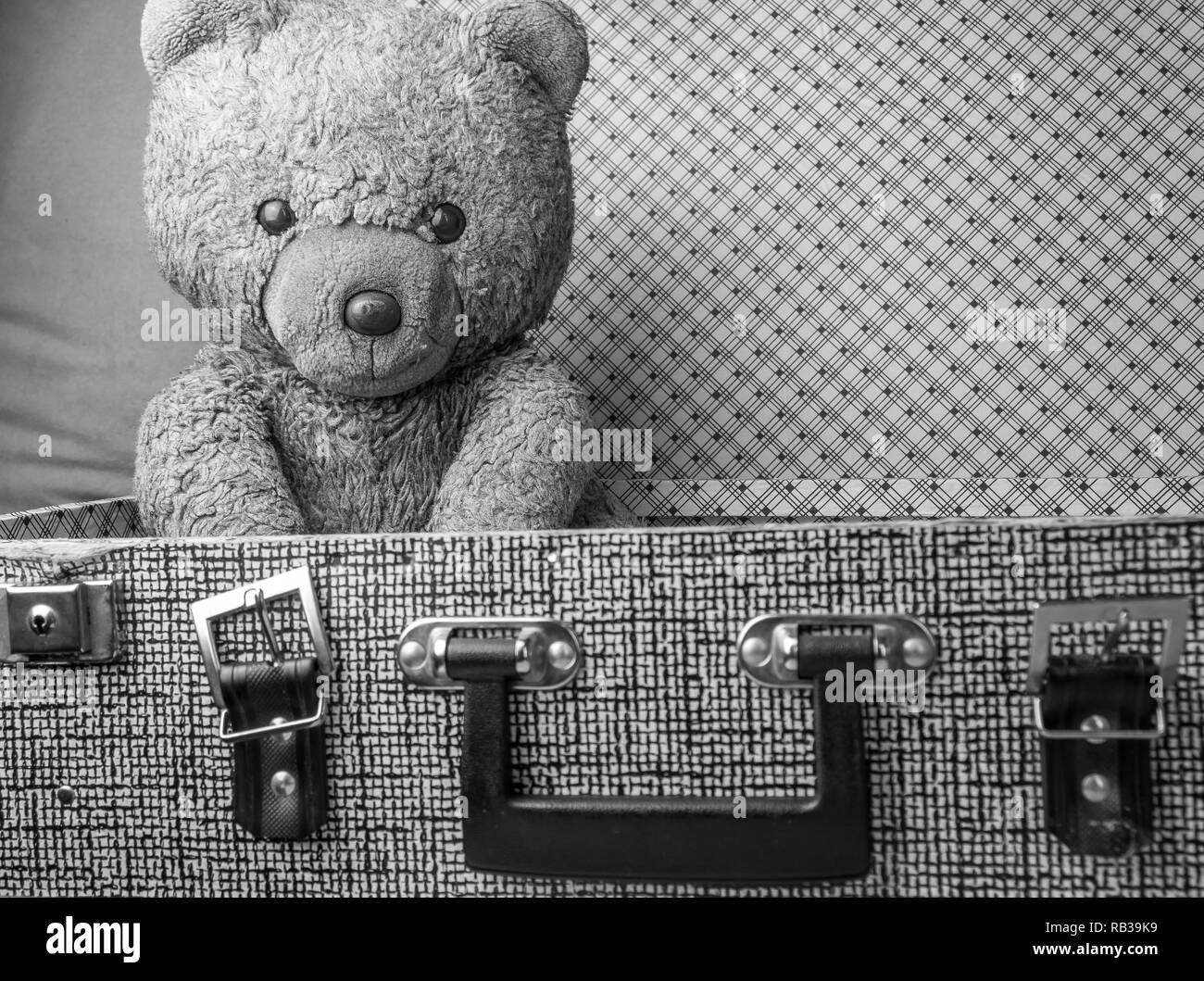 Old fashioned teddy bear Black and White Stock Photos & Images - Alamy
