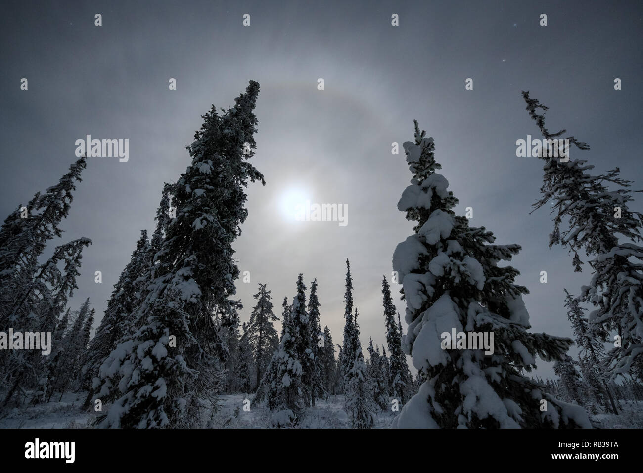 Rosong moon in Urho Kekkonen natioal park in Savukoski, Lapland, Finland Stock Photo