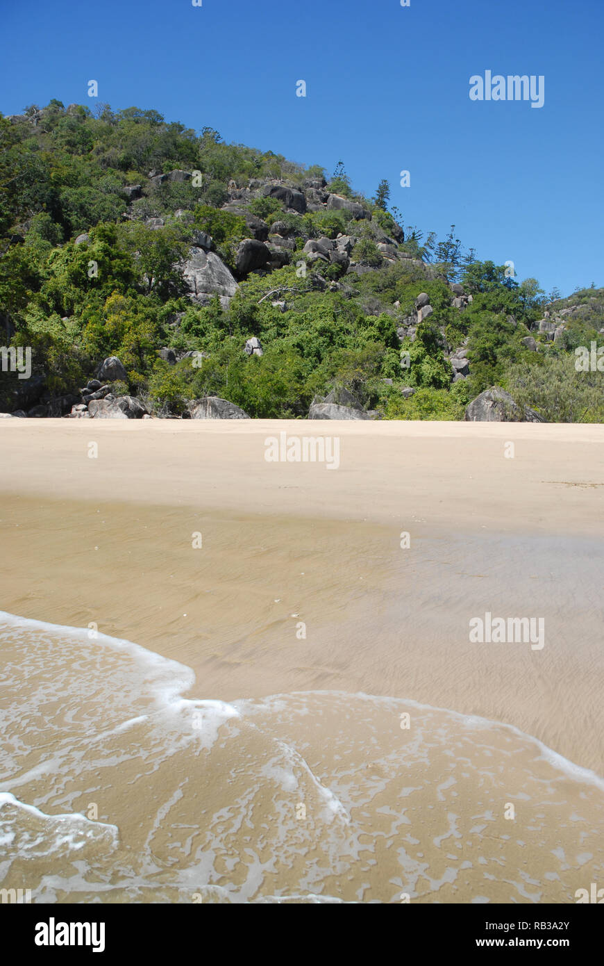 Sea lapping the shoreline, sandy beach with granite rocks and hoop pines behind, Radical bay, Magnetic Island, Queensland, Australia Stock Photo