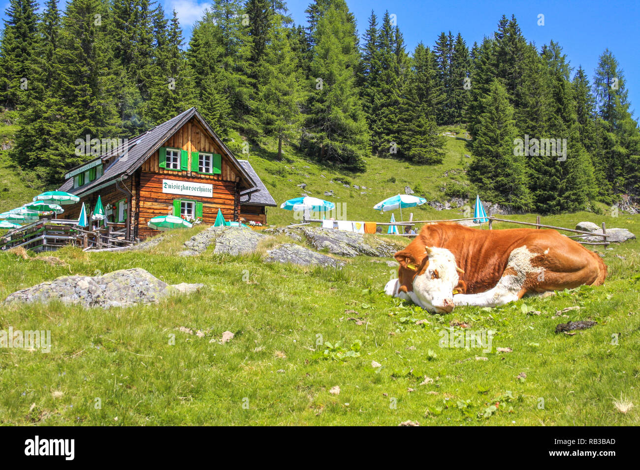 Idyllic park landscape hi-res stock photography and images - Alamy