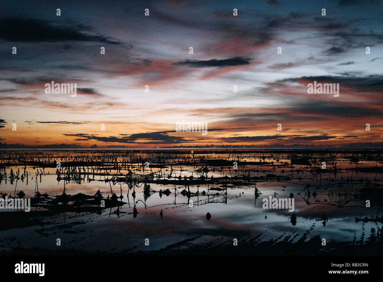 Sea weed plantation on Nusa Lembongan island near Bali Indonesia. The plantation is seen in the evening after dawn when it is low tide Stock Photo