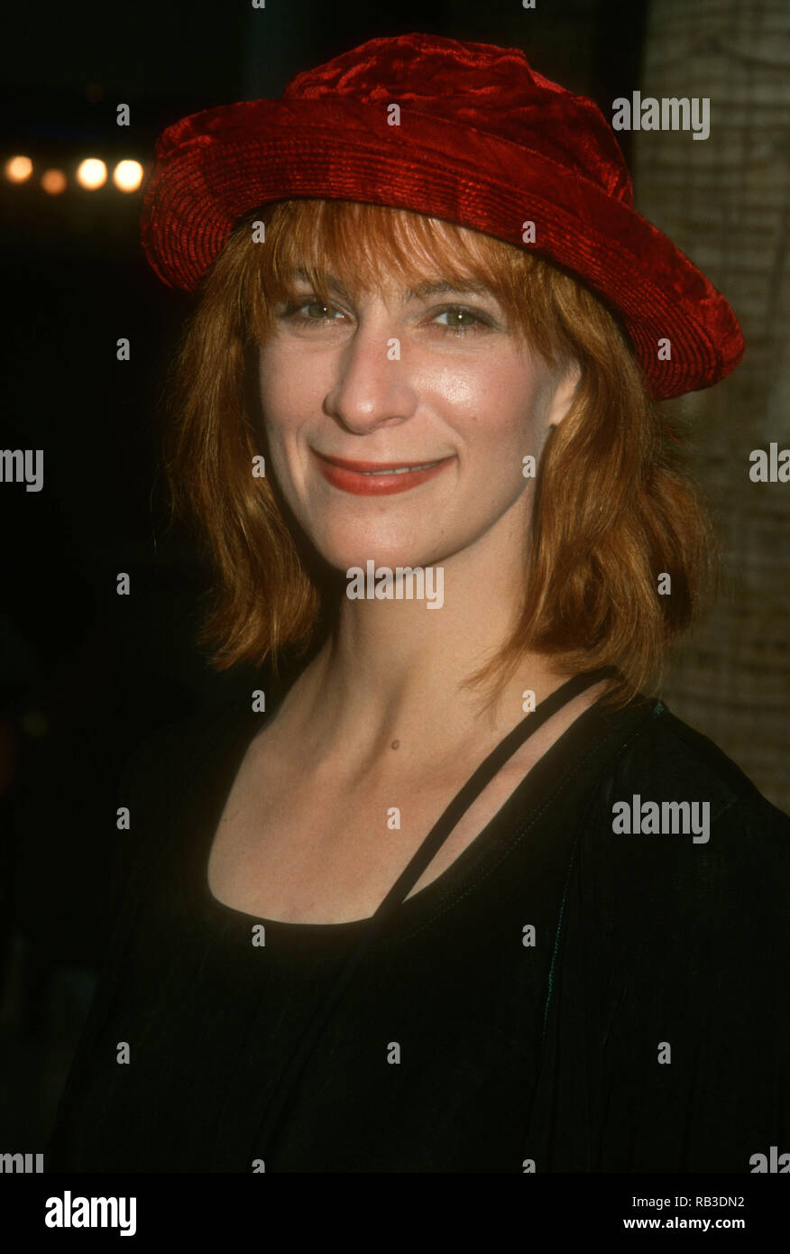HOLLYWOOD, CA - JULY 28: Actress Amanda Plummer attends TriStar Pictures' 'So I Married An Axe Murderer' Premiere on July 28, 1993 at the Galaxy Theater in Hollywood, California. Photo by Barry King/Alamy Stock Photo Stock Photo