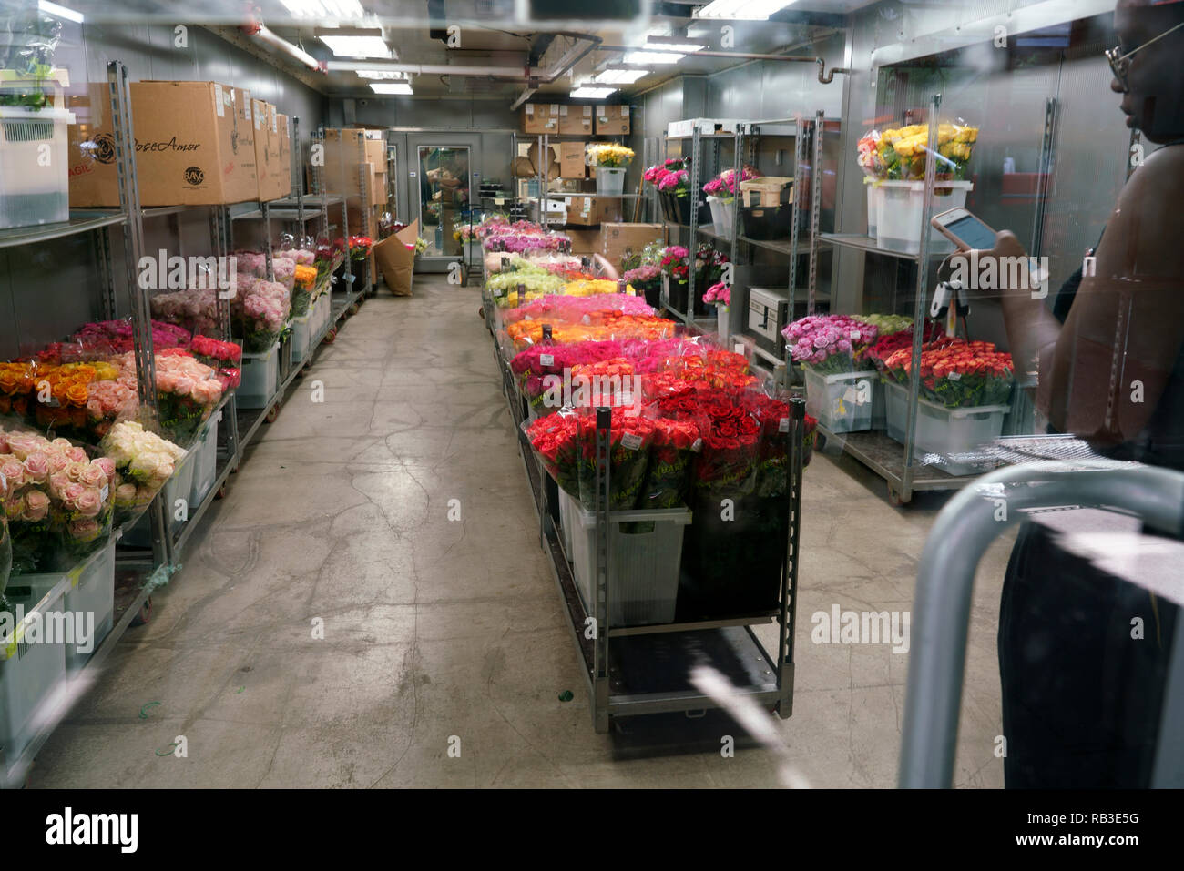 Flowers for sale in the shop of New York's Flower District. Manhattan
