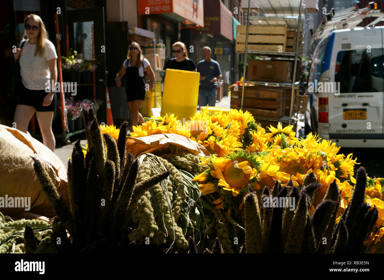 New york flower district hires stock photography and images Alamy