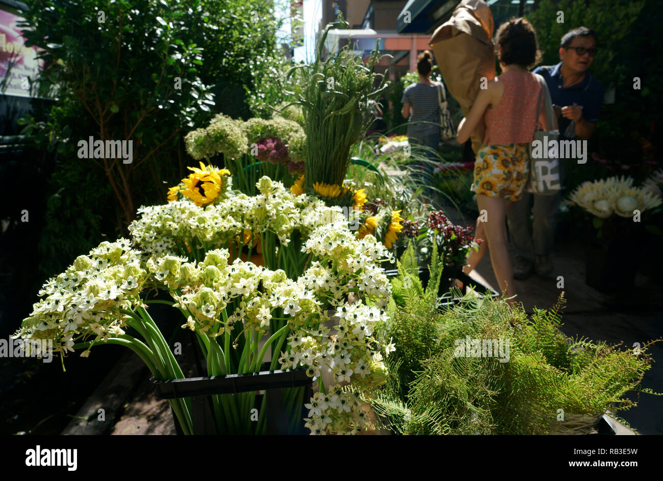 Flowers displaying and for sale by the sidewalk in New York's Flower