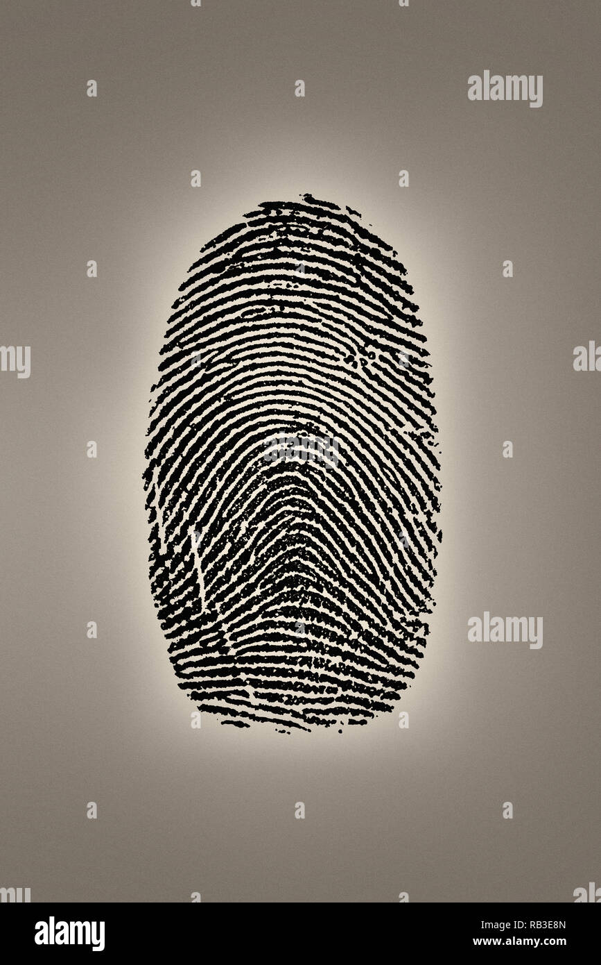 Close up of finger print Stock Photo