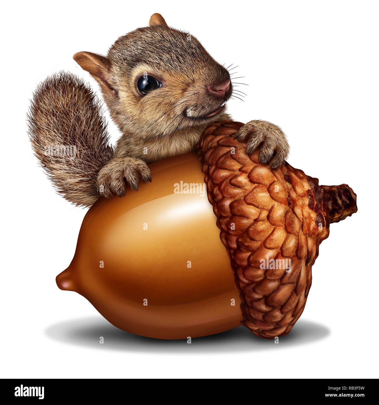 Funny squirrel holding a giant acorn tree nut as a wealth or wealthy metaphor for business and financial savings in a 3D illustration style. Stock Photo