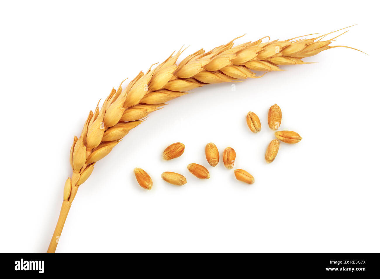 grain and ears of wheat isolated on white background. Top view Stock