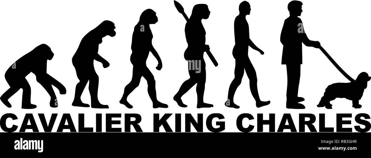 Cavalier King Charles evolution with name Stock Vector Image & Art Alamy