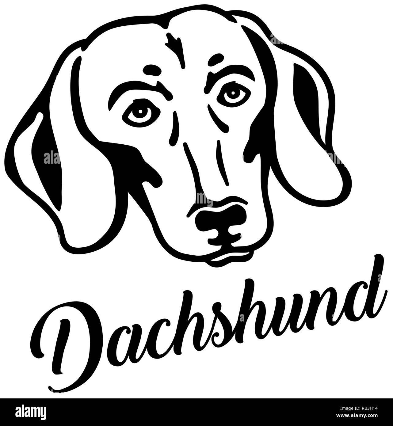 Dachshund head silhouette with name Stock Vector Image &amp; Art - Alamy