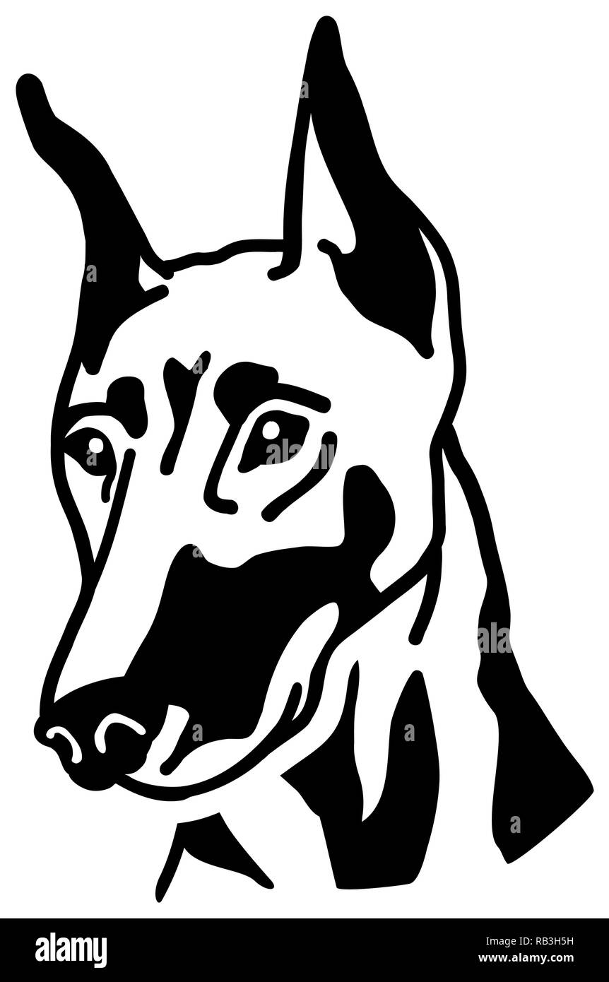 Doberman head black and white Stock Vector Image & Art - Alamy
