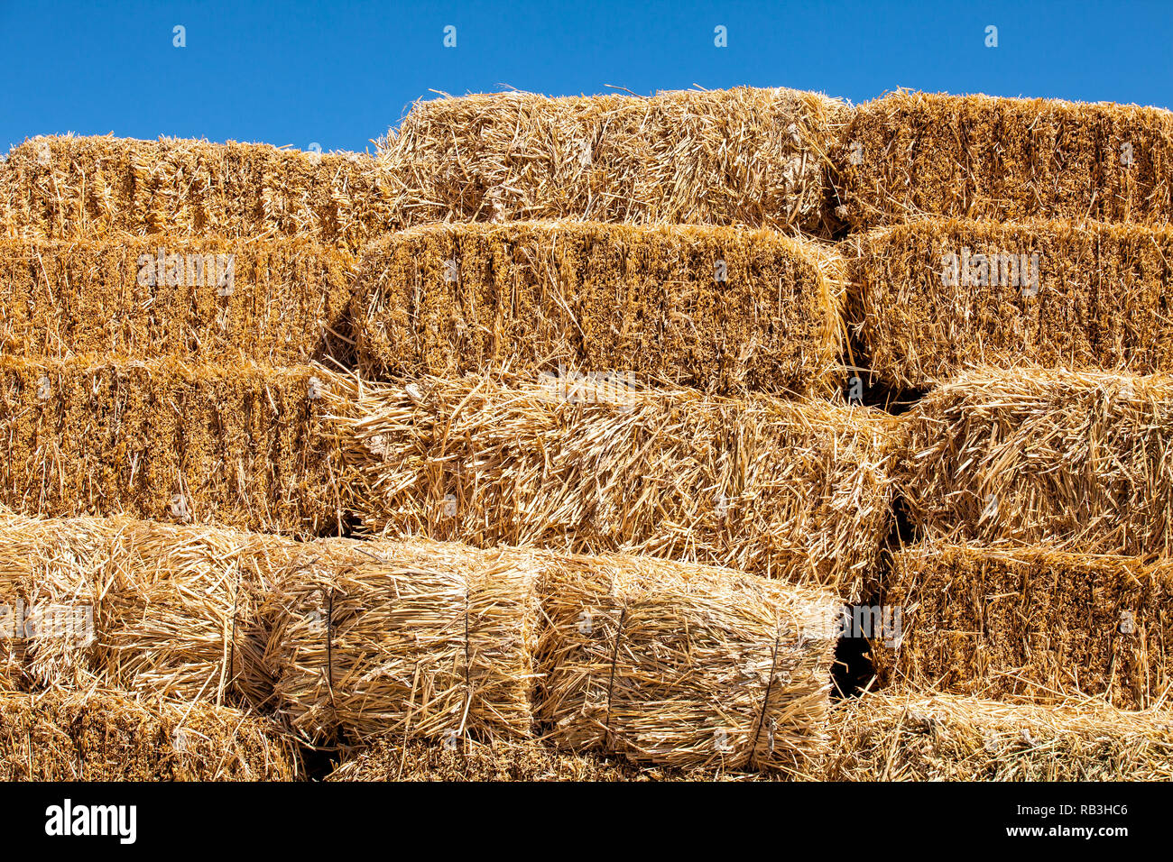 Square hay bales hi-res stock photography and images - Alamy