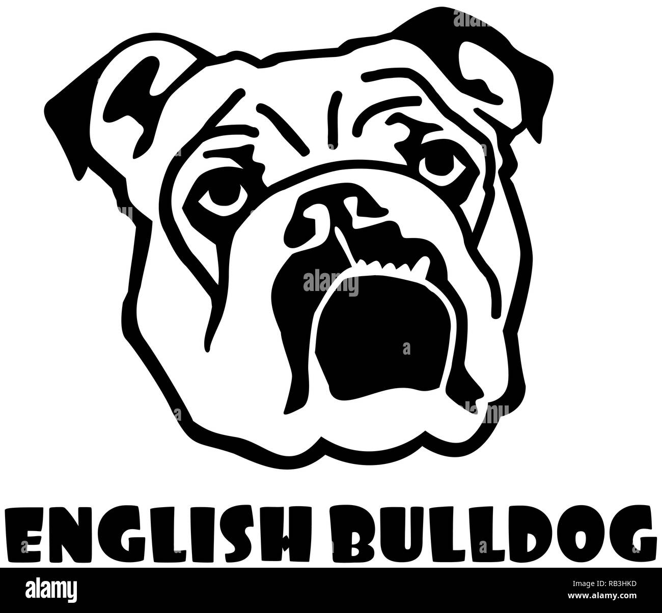 English Bulldog head with name Stock Vector Image & Art Alamy