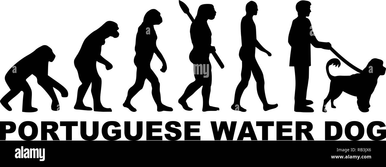 Portuguese water dog evolution with word Stock Vector Image & Art Alamy