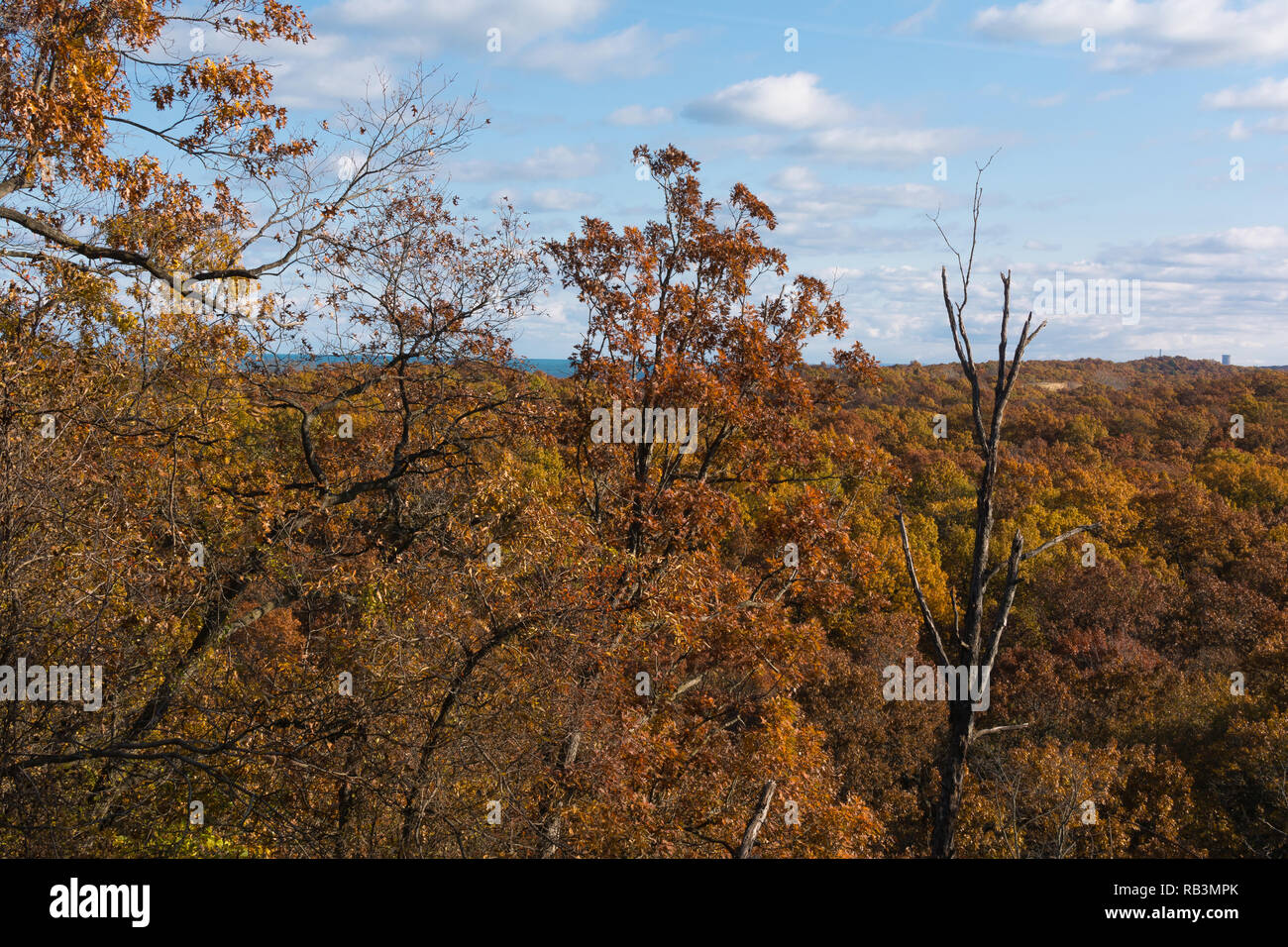 Autumn in Indiana Dunes State Park Stock Photo Alamy