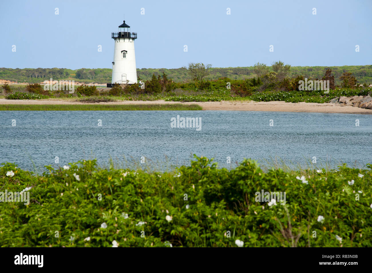 Edgartown lighthouse is a favorite destination for tourists on Martha’s Vineyard island during the summer months. Beach roses in the foreground surrou Stock Photo