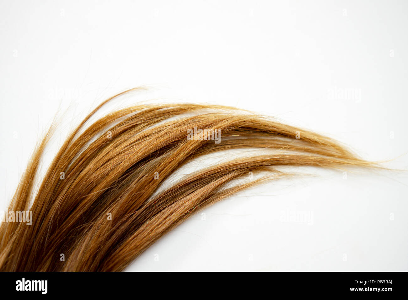 long brown straight hair on white isolated background Stock Photo