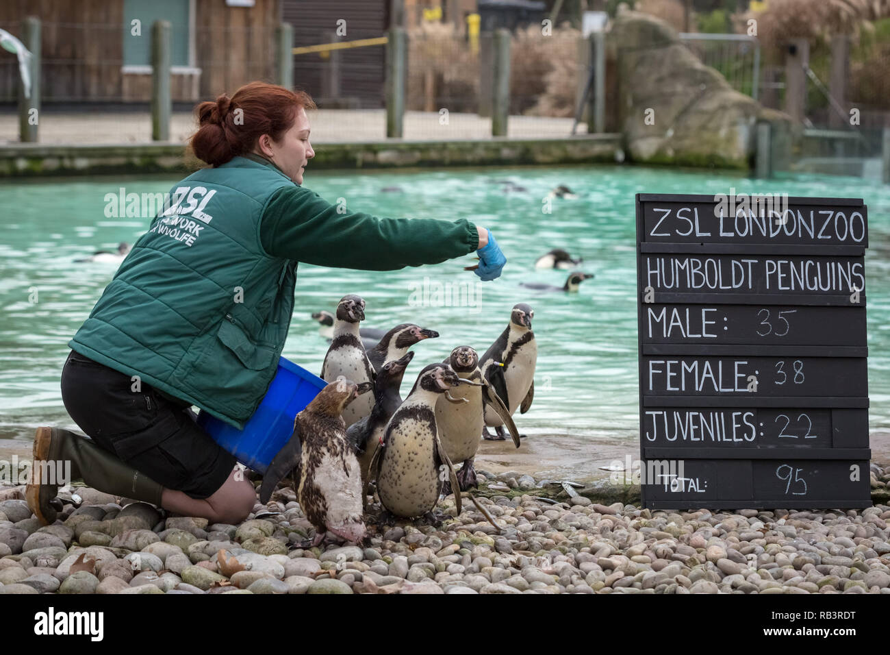 Zoo animals different hi-res stock photography and images - Alamy